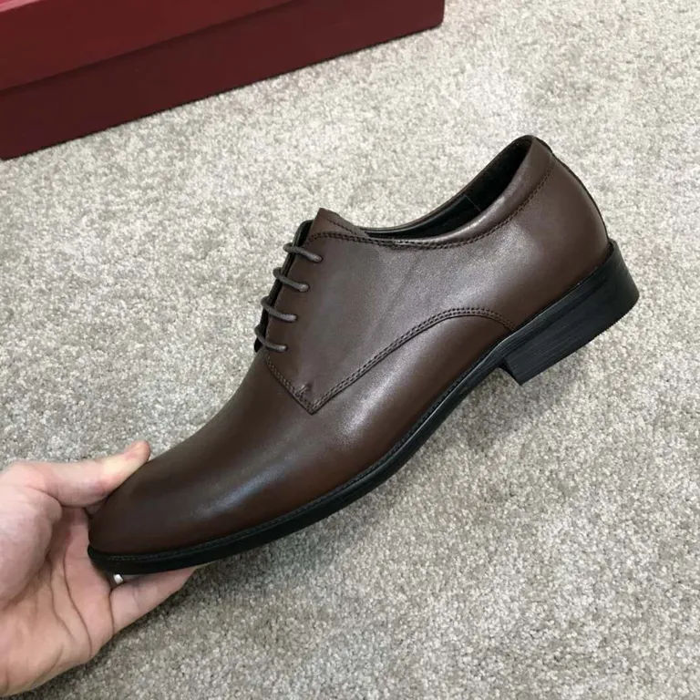 Ferragamo Shoe 